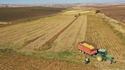 Tarım sektöründen tüm zamanların en yüksek ihracatı