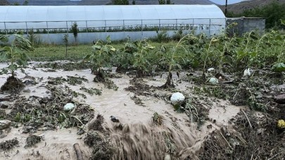 TARSİM'e taahhüt edilecek "hasar fazlası desteği" prim oranları belirlendi