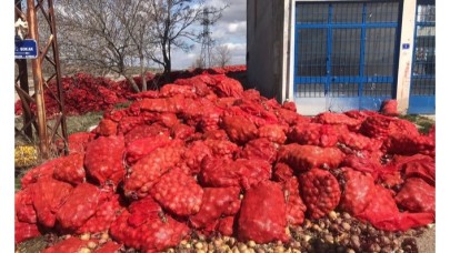 Ticaret Bakanlığı,  "sebzelerin çöpe döküldüğüne" dair haberlere ilişkin açıklama yaptı