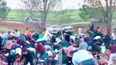 Yazıklar olsun! Şanlıurfa'da devrilen TIR'ın sürücüsüne yardım etmek yerine yola saçılan şekerleri yağmaladılar!