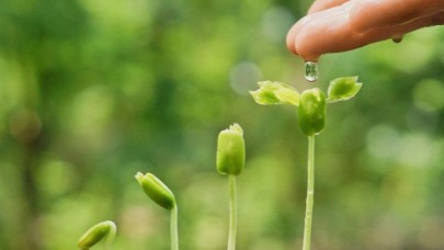 2025'te Dünya Tohumculuk Kongresinin yapılacağı ülke belli oldu!