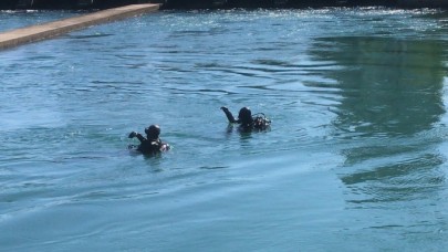 Adana'da sulama kanalına giren gençlerden acı haber: Hasan Arslan ve Emin Aydemir öldü