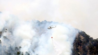 Alanya yanıyor: Orman alev alev