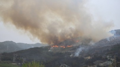 Hatay'daki orman yangınıyla ilgili 1 kişi tutuklandı