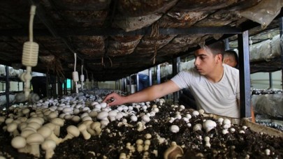 Meslek liseliler çiftçiliği hem sahada hem okulda öğreniyor