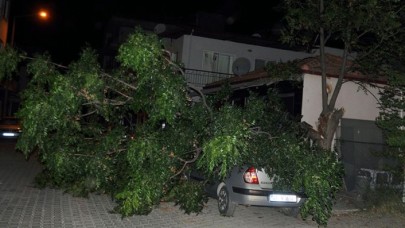 Muğla Ortaca'da fırtına etkili oldu