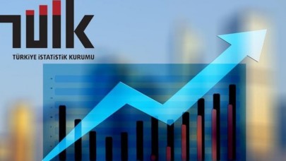 Türkiye İstatistik Kurumu Türkiye'nin gelir dağılımını açıkladı