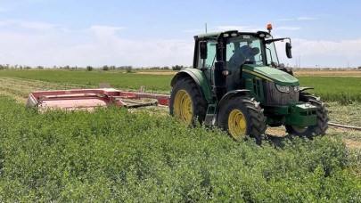 Tuz Gölü Havzası'nda yonca verimi üreticinin yüzünü güldürüyor