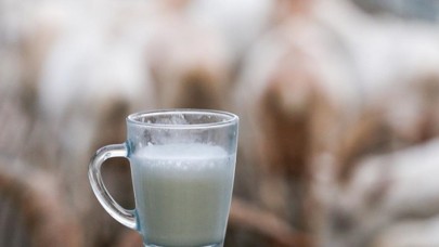 Üreticiden 'koyun,  keçi sütü referans fiyatı da USK tarafından belirlensin' talebi