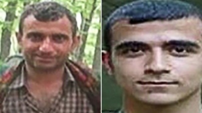 "Yeşil" ve "gri" kategoride aranan iki terörist etkisiz hale getirildi