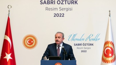 TBMM Başkanı Şentop,  AK Parti'li Öztürk'ün resim sergisini açtı