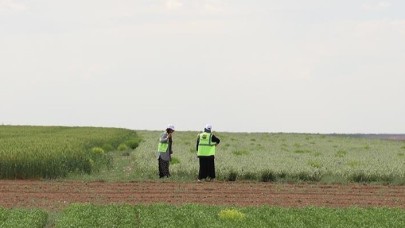 Doğrudan ekimle baklagil üretimi hem çiftçinin cebini hem çevreyi koruyor