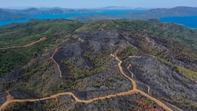 Bir zamanlar Yeşil Marmaris'ti,  şimdiki hali yürek burkuyor! Bakan Kirişçi'den açıklama
