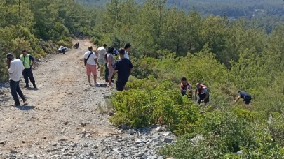 Bodrum'da devrilen traktörün sürücüsü Kıymet Tuzcu öldü