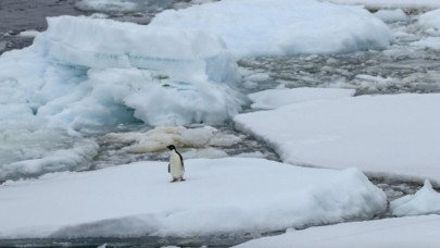 Bonn İklim Değişikliği Konferansı başladı