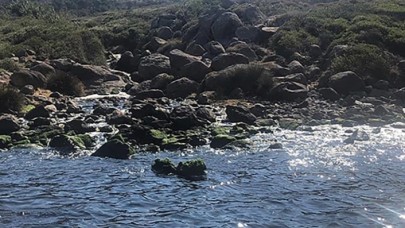 Çevre,  Şehircilik ve İklim Değişikliği Bakanlığı'ndan arıtılmış atık su kullanımında teşvik