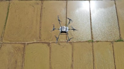 Çiftçilerin dron ile çeltik ekim mesaisi başladı