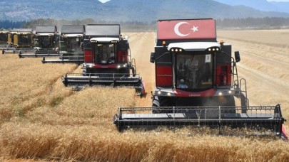 Dalaman TİGEM'de yerli tohum buğdayın hasadına başlandı