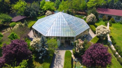 İstanbul'un merkezindeki doğal şifa kaynağı: Tıbbi bitkiler bahçesi