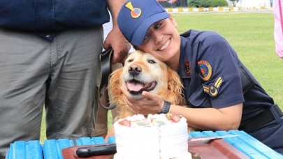 Jandarmanın arama kurtarma köpeği "Bulut" madalyasını alarak emekli oldu