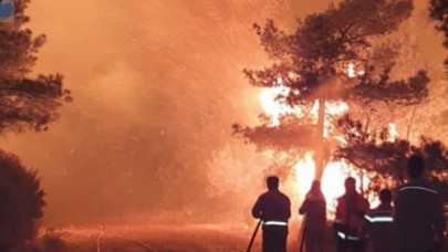 Marmaris'teki yangınla ilgili Cengiz-Kolin iddiası