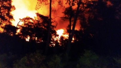 Marmaris yine yanıyor: Geçen yıldan kalan yerlerde de başladı. Bakan Kirişçi'den ilk açıklama