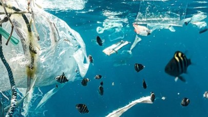 Plastik atıklar ve küresel ısınma nedeniyle okyanuslar alarm veriyor