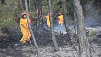 Son dakika: Vahit Kirişçi'ten Marmaris'teki orman yangını ile ilgili flaş açıklama