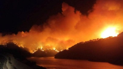 Türkiye'de orman yakma talimatını PKK'dan alan sanık hakim karşısında