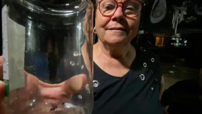 Antalya'da insan yüzlü örümcek dehşete düşürdü