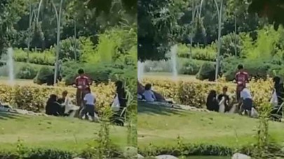 Başakşehir'deki göletten kazları çaldıkları iddia edilen Suriyelilerle ilgili emniyetten açıklama