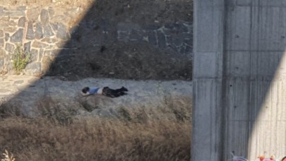 Çam sakura hastane viyadüğünde intihar!