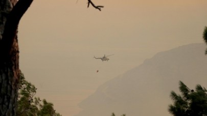 Datça Belediyesi'nden Orman Bakanlığı'na: Minnettarız!