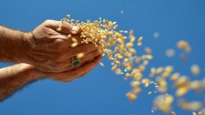 Hububat sektöründen ilk yarıda 5, 44 milyar dolarlık ihracat