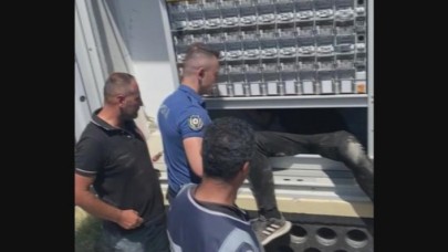 Sık sık elektrik kesintisine neden olan "hırsız fare" yakalandı