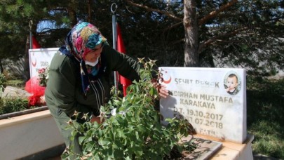 Teröristlerin katlettiği şehit Bedirhan bebek ve annesi Sivas'ta anıldı