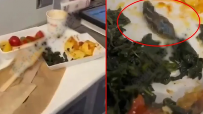 Türkiye bu skandalı konuşuyor! Uçakta yolculara ikram edilen yemekten yılan ve salyangoz çıktı