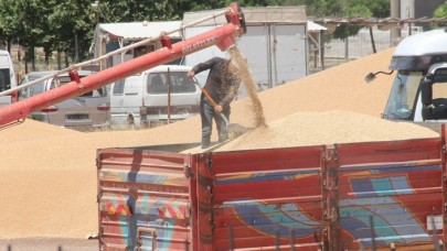Türkiye buğdayını alıp çürümeye mi bırakıyorlar? Ortalığı karıştıran bomba iddia