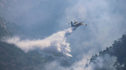 Uçaklar devreye girdi,  alevler bitti: Datça yangını kontrol altına alındı