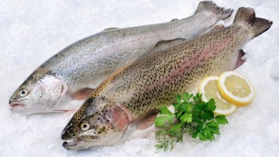 Çat Barajı'nda üretilen somonlar ihraç ediliyor