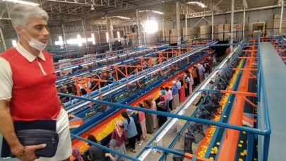 Boris Volfman: "Armut ve ayva ihracatı artıyor"