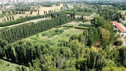 Cumhurbaşkanı Erdoğan imzaladı,  Resmi Gazete'de yayımlandı: Atatürk Orman Çiftliği ile ilgili flaş karar