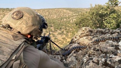 'Eren Abluka-31 Şehit Jandarma Uzman Çavuş Ali Erdinç' operasyonu başlatıldı