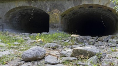 İngiltere'deki Thames Nehri'nin kaynağı kuruyor