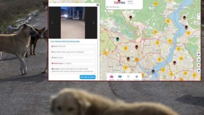 Köpeklerin öldürülmesi için açılan uygulama 'Havrita' Türkiye'yi ayağa kaldırdı: Yetkililer hala sessiz!