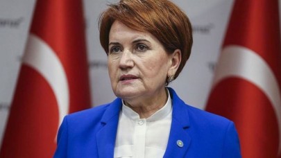 Meral Akşener'i sokak köpeği ısırdı