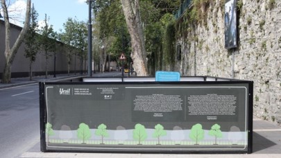 Orman Mühendisleri Odası İBB'nin Çırağan'da kestiği ağaçlarla ilgili raporunu yayımladı