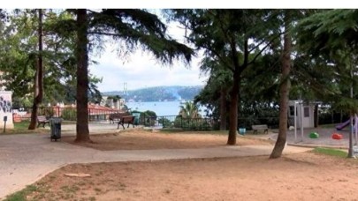 Park'ın ağaçları kesildi deniz manzarası göründü!