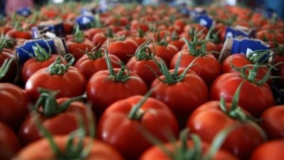 Domatesle ilgili flaş karar