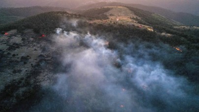 Eskişehir'de orman yangını sürüyor